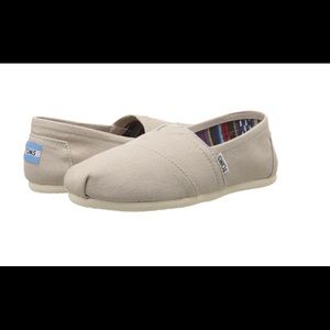 Light Grey TOMS